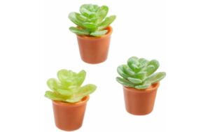 Hobbyfun Blumentöpfe 2.3 cm, 3 Stk.