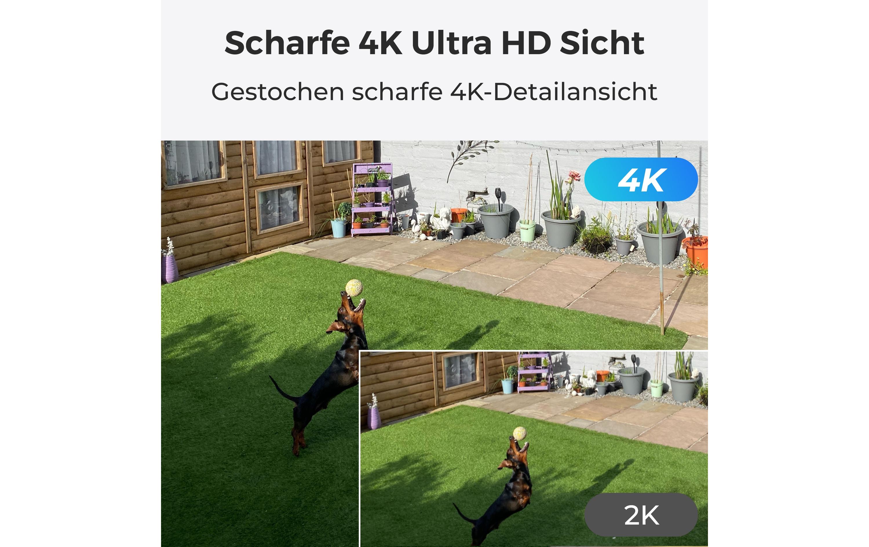 1755312_5 - Mediatech Reolink P430 4K PoE-Kamera Wetterfeste PoE Überwachungskamera