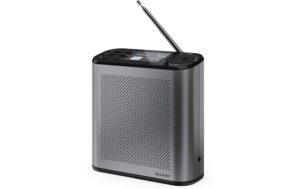 Sharp Digitalradio DR-P530 GR Portable Mono DAB+/FM + built-in Li bat. kaufen Schweiz | Mediatech.ch
