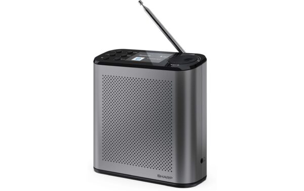 1770394 - Mediatech Sharp Digitalradio DR-P530 GR Portable Mono DAB+/FM + built-in Li bat. kaufen Schweiz | Mediatech.ch