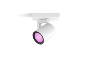 Philips Hue White & Col. amb. argenta 1 flg. weiss 350lm
