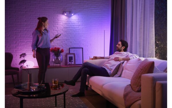 1787993_5 - Mediatech Philips Hue White & Col. amb. argenta 2 flg. weiss 2x350lm