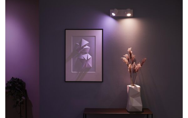 1787993_8 - Mediatech Philips Hue White & Col. amb. argenta 2 flg. weiss 2x350lm