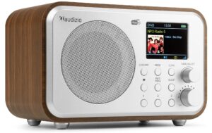 Audizio MilanSL DAB+ Radio mit BT u. FM, silber kaufen Schweiz | Mediatech.ch