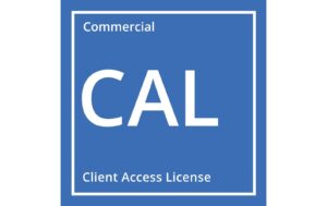 Microsoft Windows Server 2025 RDS User CAL 1er-Pack, OEM, Multilingual