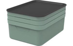 Rotho Set Deko Box mit Deckel A4/10 l JIVE 37,5 x 27,8 x 23,5