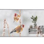 LG 55EW5P-M Public OLED Display 55 FHD, OLED, 600cd/m2, 18/7, Transparent
