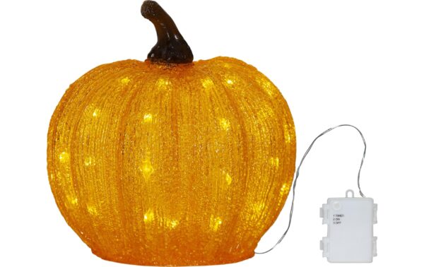 Star Trading Outdoor Dekoration Harvy IP44, Warmweiss, 50 LEDS kaufen Schweiz | Mediatech.ch