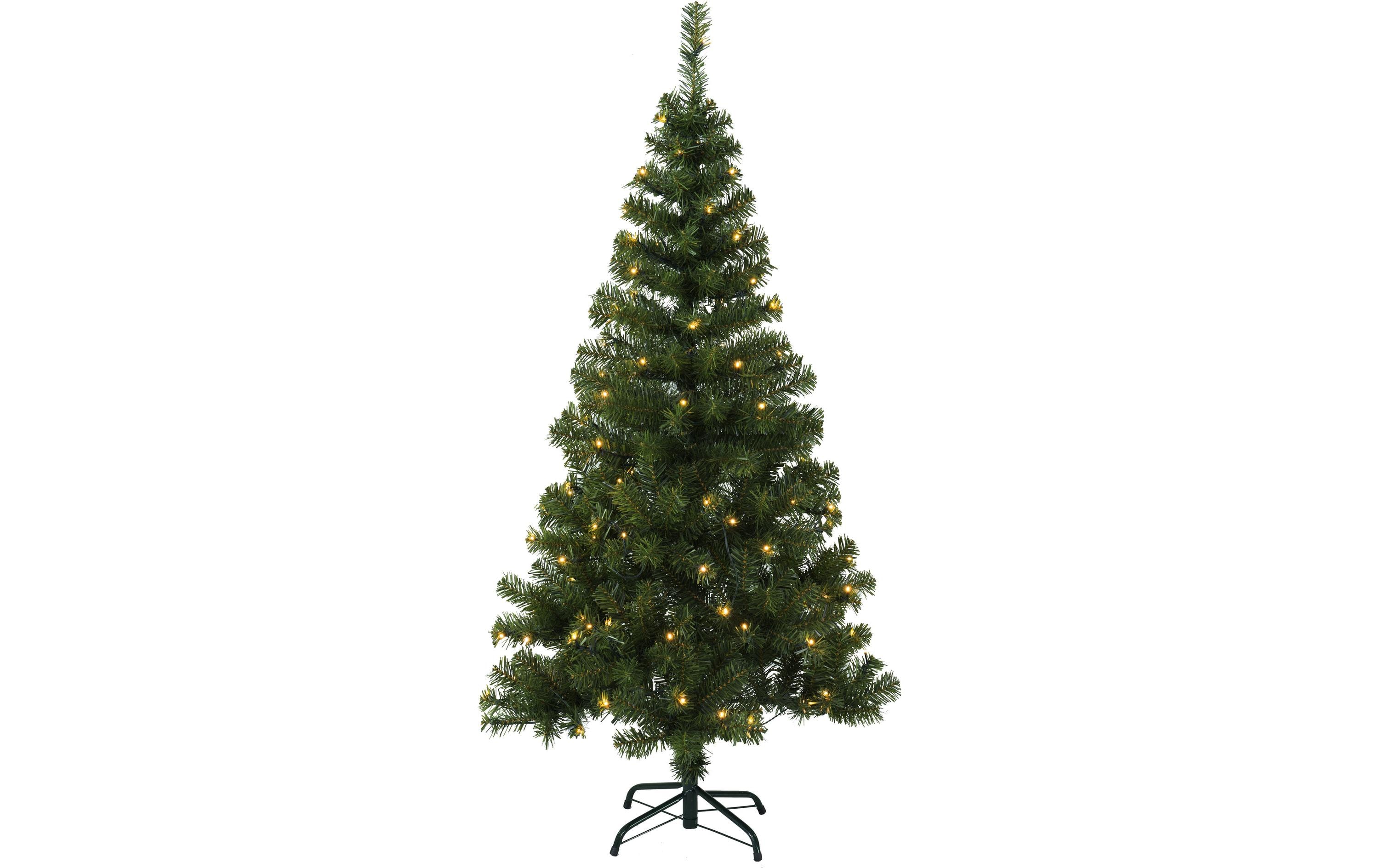 Star Trading LED Weihnachtsbaum 1.5m 24V, IP44, 5m Zuleitung kaufen Schweiz | Mediatech.ch