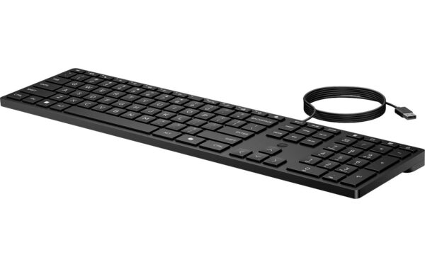 HP Wired Desktop 320K Keyboard - CH Layout Kabel mit USB-A Stecker