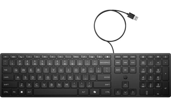 HP Wired Desktop 320K Keyboard - CH Layout Kabel mit USB-A Stecker