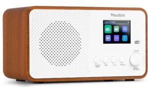 Audizio Avio WH DAB+/FM Radio mit Bluetooth, weiss kaufen Schweiz | Mediatech.ch