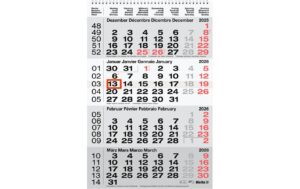Biella Wandkalender 2026 4-Monatskalender g 31 x 47 cm, 4 Monate pro Seite