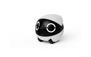 Enabot Rola Mini Pet Monitor 2k Cam, Überwachungskamera kaufen Schweiz | Mediatech.ch