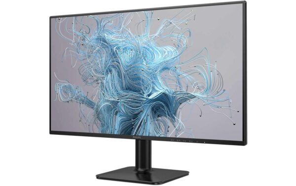 Philips Monitor 24E2N1110/00 IPS, 120 Hz, HDMI, D-Sub