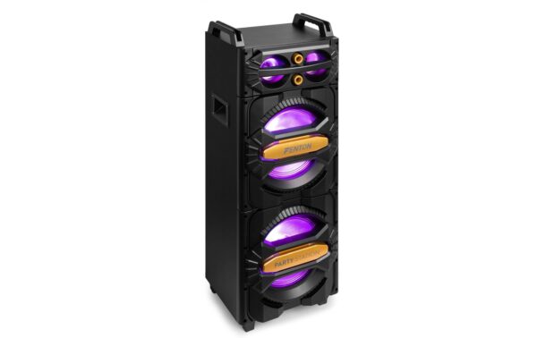 Fenton LIVE2102 Partystation 2x10, 800W, Mikrofon, BT kaufen Schweiz | Mediatech.ch