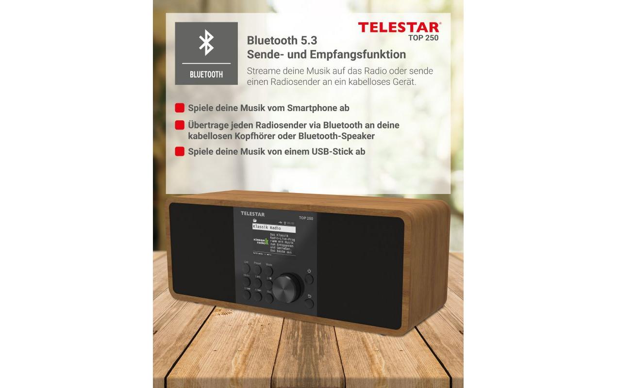 1896872_3 - Mediatech Telestar WLAN-Digitalradio TOP 250 Braun/Holz, Internet, BT 5.3, USB-Rec, App