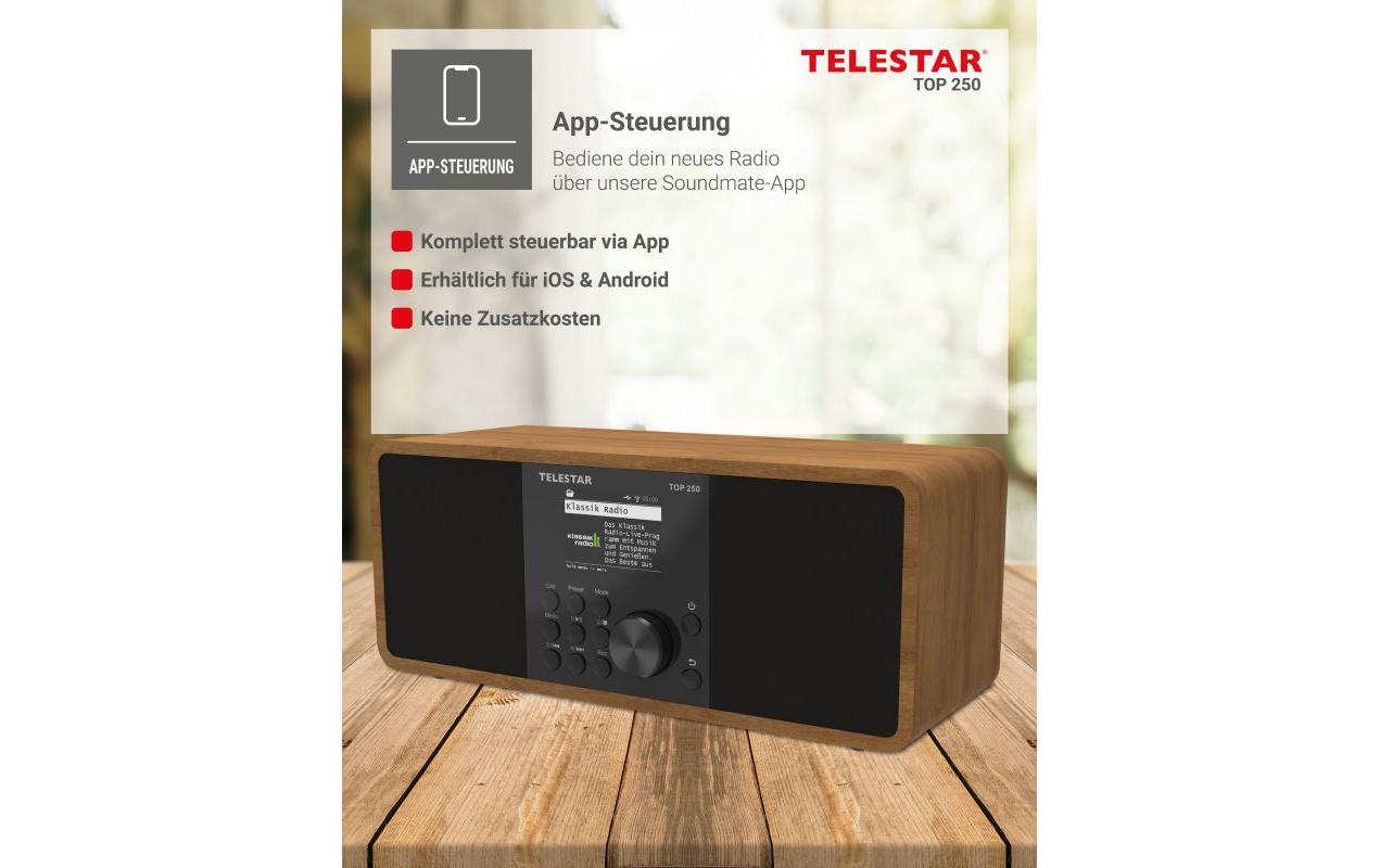 1896872_5 - Mediatech Telestar WLAN-Digitalradio TOP 250 Braun/Holz, Internet, BT 5.3, USB-Rec, App