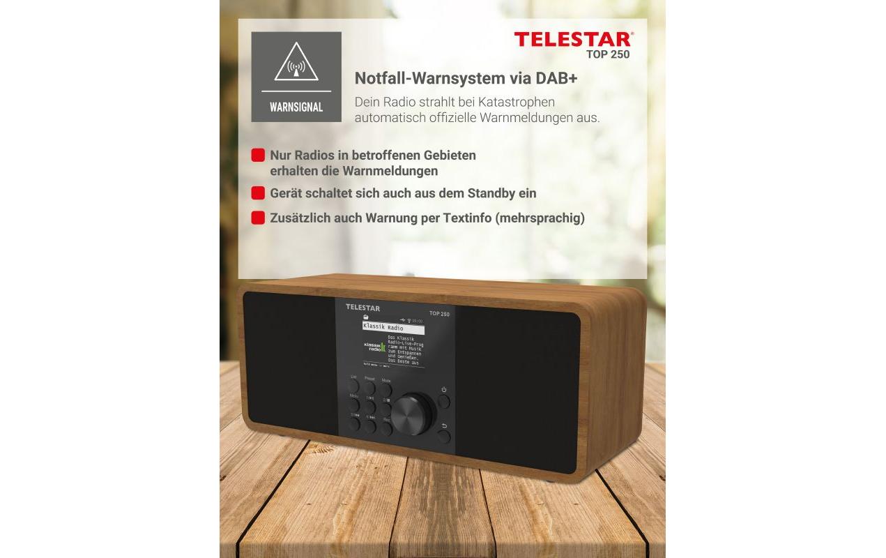 1896872_7 - Mediatech Telestar WLAN-Digitalradio TOP 250 Braun/Holz, Internet, BT 5.3, USB-Rec, App