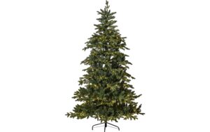 Star Trading Weihnachtsbaum LED Larvik 700 Grün, 700 LEDs, 210.00cm Höhe