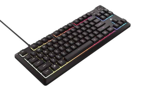 Corsair K55 CORE TKL RGB CH Layout, Backlit Zoned RGB LED kaufen | Mediatech.ch