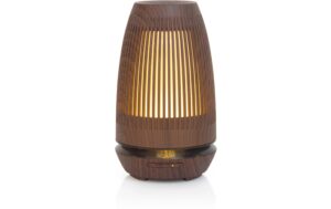 Ohmex Aroma-Diffusor EAS-KW-2201 300Ml, 3H, 30Ml/h kaufen Schweiz | Mediatech.ch
