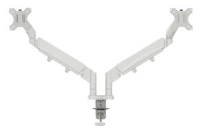 Leitz Ergo Dual Monitorarm grau kaufen Schweiz | Mediatech.ch