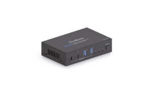 PureTools PT-SW-U324 Switch 2x4 USB 3.2 Gen1, 5Gbps, Dual Input kaufen Schweiz | Mediatech.ch