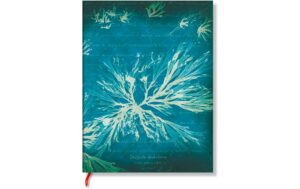 Paperblanks Notizbuch Meeresblumen Midi, blanco, 80 Seiten, 100 g/m2