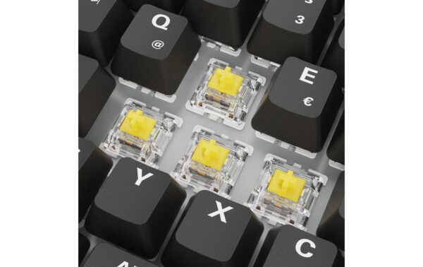 Sharkoon SGK50 S3 PBT kabelgebunden, DE, PBT, mech