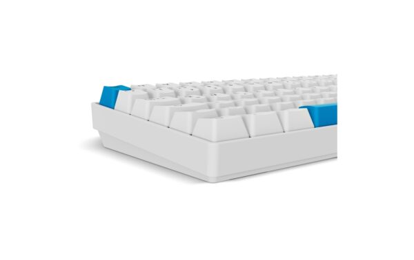 1958451_4 - Mediatech Sharkoon SGK50 S2 PBT kabelgebunden, DE, PBT Hotswap