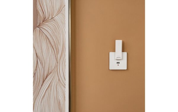 Aqara Hub M100 