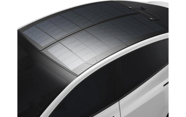 EcoFlow HeatGuard Solar Film Tesla Model Y Schwarz