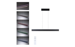 Paulmann LED Pendelleuchte Raiko RGBW+ dimmbar 2300 dimmbar 2300lm / 370lm 19W / 6W Schwarz kaufen | Mediatech.ch
