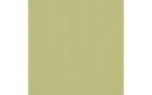 Westcott X-Drop Pro Backdrop Light Moss Green Wrinkle-Resistant 8 x 8