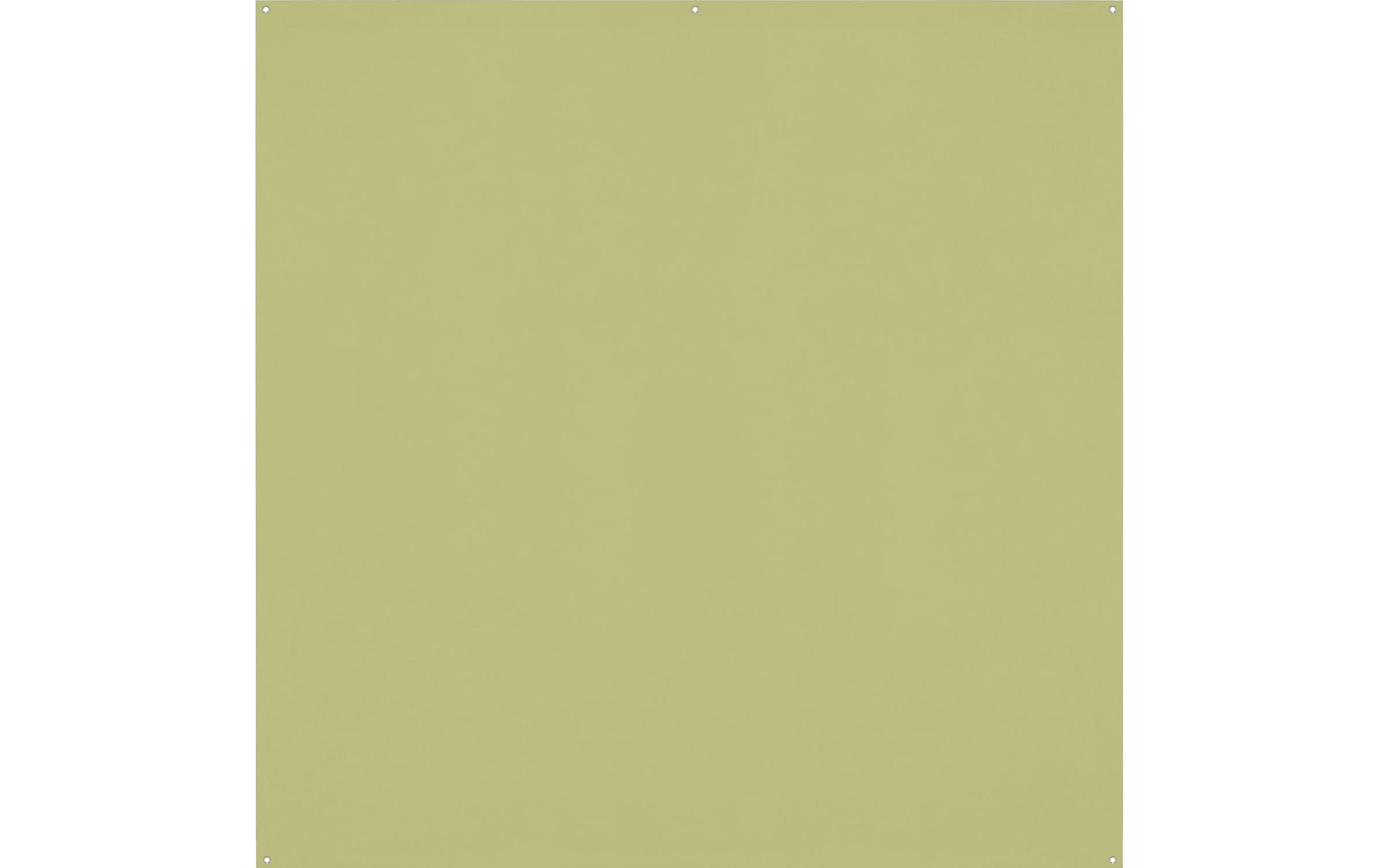 1995043 - Mediatech Westcott X-Drop Pro Backdrop Light Moss Green Wrinkle-Resistant 8 x 8 kaufen Schweiz | Mediatech.ch