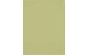 Westcott X-Drop Pro Backdrop Light Moss Green - WR 5 x 7