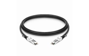 Lightwin Optics DA-Kabel, 1m, passiv QSFP28, 100GE