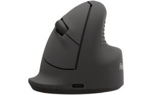 Fellowes Breyta Vertikalmaus, schwarz Medium für Rechtshänder