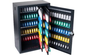 Pavo Deluxe Schlüsselschrank 300Schlüssel zur Wandbefestigung, aus massivem Metall kaufen Schweiz | Mediatech.ch