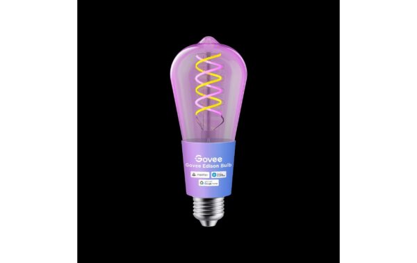 2082399_2 - Mediatech Govee Smart Edison Bulb E27 ST19, COB, 2700-6500K