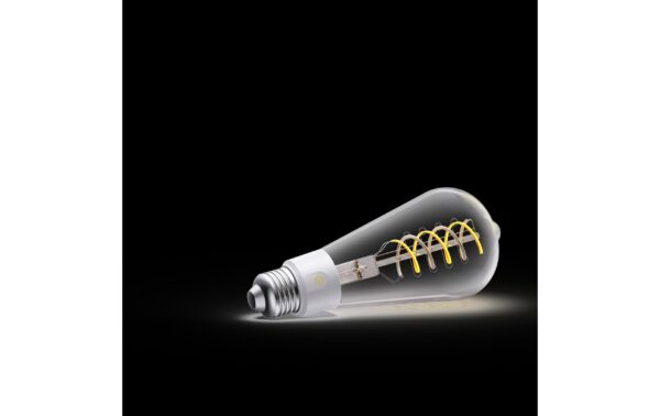 2082399_4 - Mediatech Govee Smart Edison Bulb E27 ST19, COB, 2700-6500K