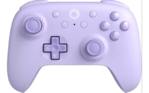 8BitDo Ultimate 2C Wireless Controller purp Wireless, PC/Mobile kaufen Schweiz | Mediatech.ch