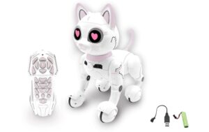Power Kitty My smart robotic kitty