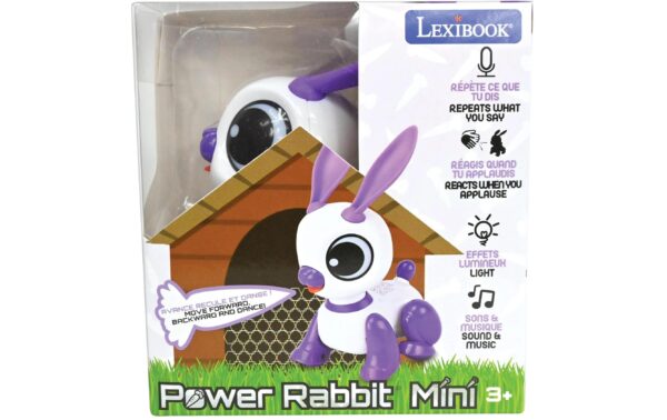 Power Rabbit Mini Rabbit robot 