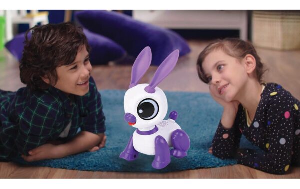 Power Rabbit Mini Rabbit robot 