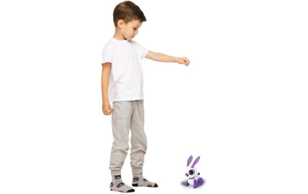Power Rabbit Mini Rabbit robot 