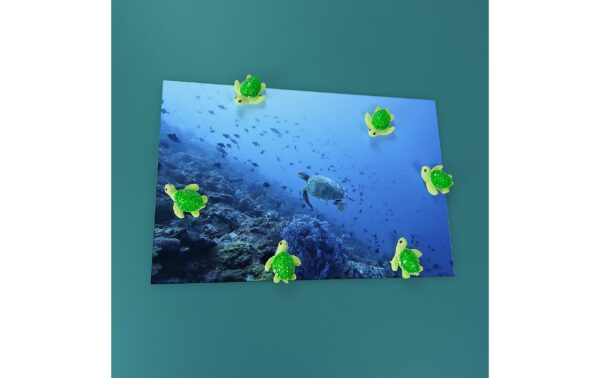 2093479_1 - Mediatech Trendform Magnete Schildkröte 5er Set