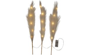 Star Trading Dekorativer Zweig Plumes Indoor, H: 65cm, ws