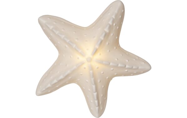 Star Trading Figur Seaside Indoor, H: 4cm, ws kaufen Schweiz | Mediatech.ch